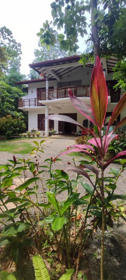 Breath House Hiriketiya Apartment Dikwella Bagian luar foto
