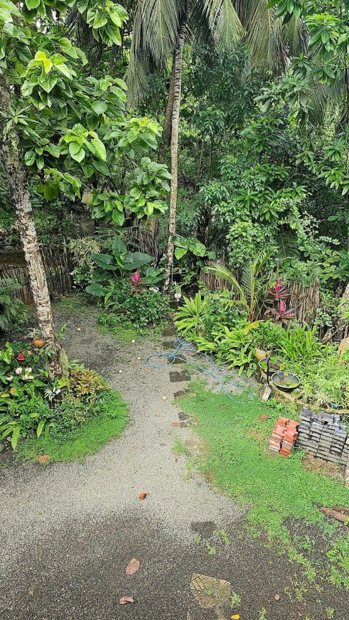 Breath House Hiriketiya Apartment Dikwella Bagian luar foto